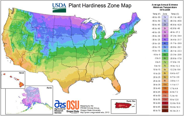 USDA-Plant-Hardiness-Zone-Map