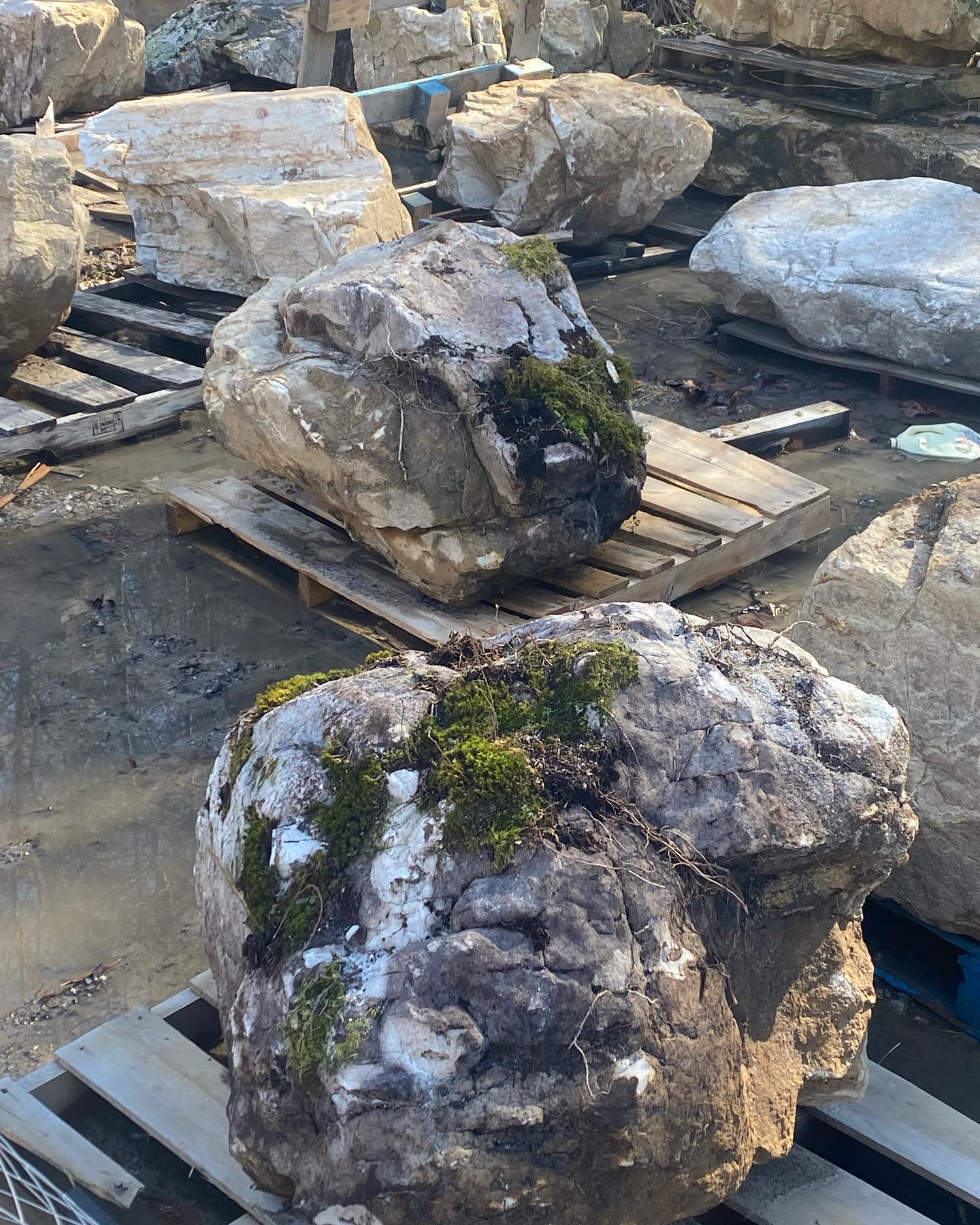 These boulders were selected for a specific application in a landscape for their shape and texture.