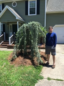 Cary-Weeping-Blue-Customer