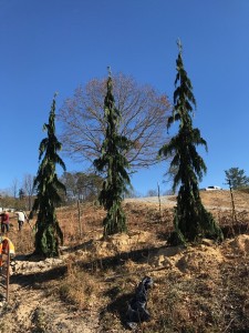 IMG 0051
