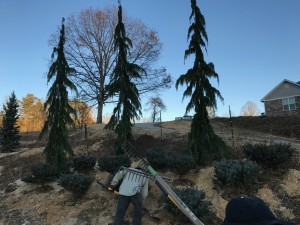 IMG 0059