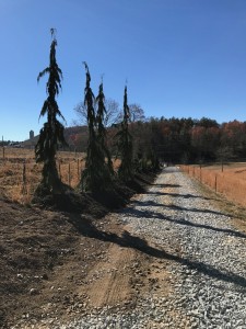 IMG 0067