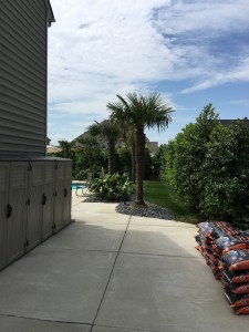 IMG 1120