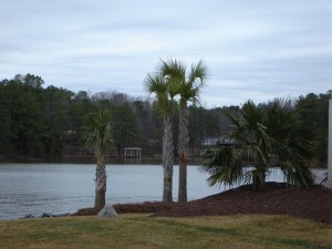 Lake-Gaston-3-sm