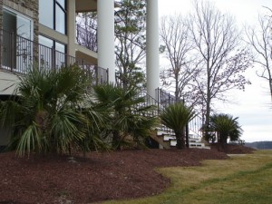 Lake-Gaston-4-sm