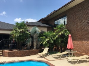 Ramada-Inn-Raleigh-Pool-1