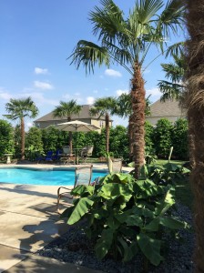 Wake-Forest-Swimming-Pool